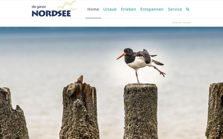 Screenshot of die-ganze-nordsee.de