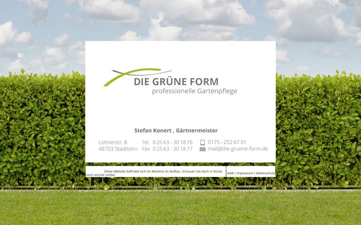 Screenshot of die-gruene-form.de