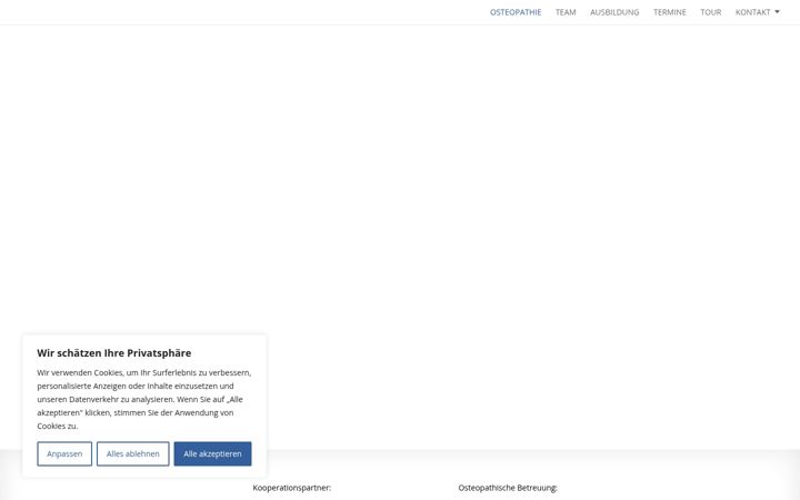 Screenshot of die-osteopathen-in-wiesbaden.de