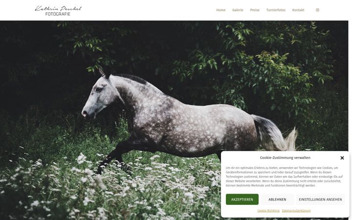 Képernyőkép: die-pferdefotografin.de