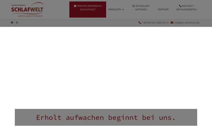 Screenshot of die-schlafwelt.de