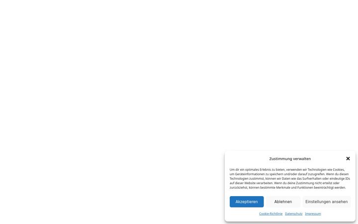 Screenshot of diefairtriebler.de