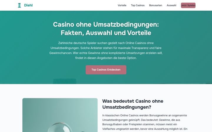 Screenshot of diehl-haustechnik.de