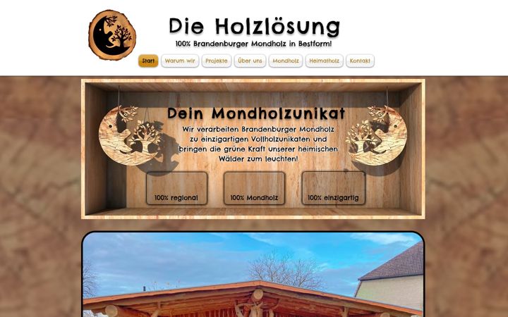 Skærmbillede af dieholzloesung.de