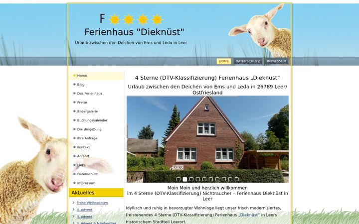 Screenshot of diek-nuest-leer.de