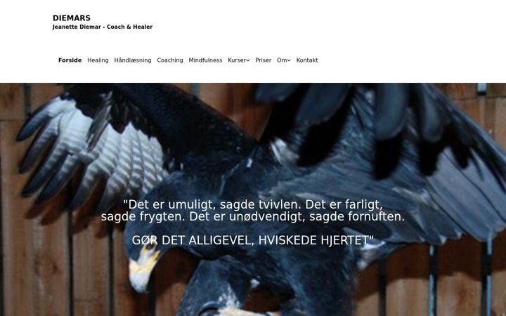 Screenshot of diemars.dk