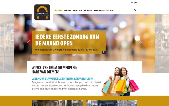 Screenshot of diemerplein.nl