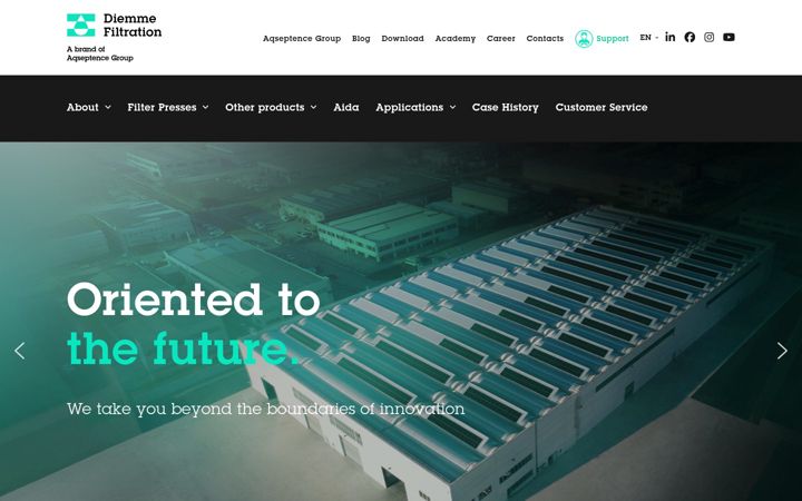 Screenshot of diemmefiltration.com
