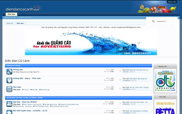 Screenshot of diendancacanh.com