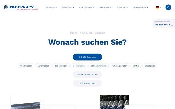 Screenshot of dienes.de