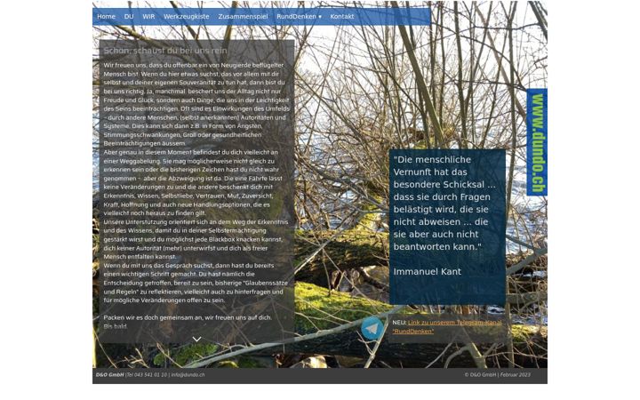 Screenshot of dienstleistungundorganisation.ch