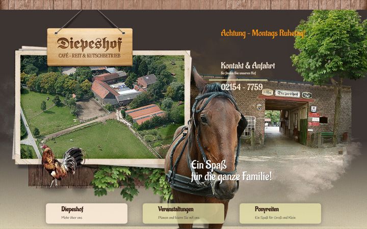 Екранна снимка на diepeshof.de