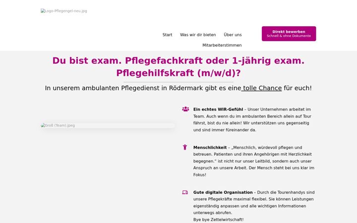 Screenshot of diepflegeengel-link-karriere.de