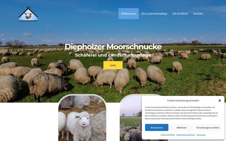 Screenshot of diepholzer-moorschnucke.de