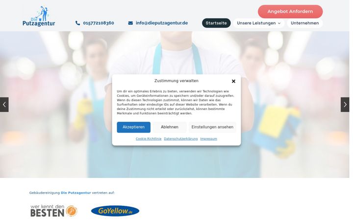 Posnetek zaslona dieputzagentur.de