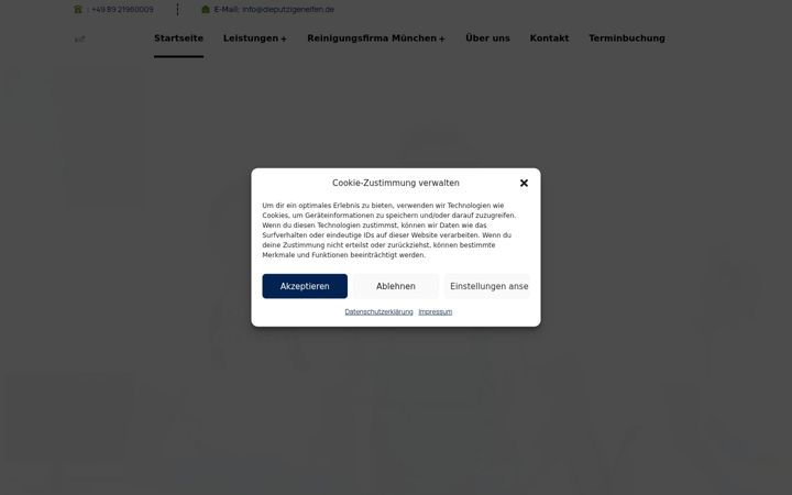 Screenshot of dieputzigenelfen.de