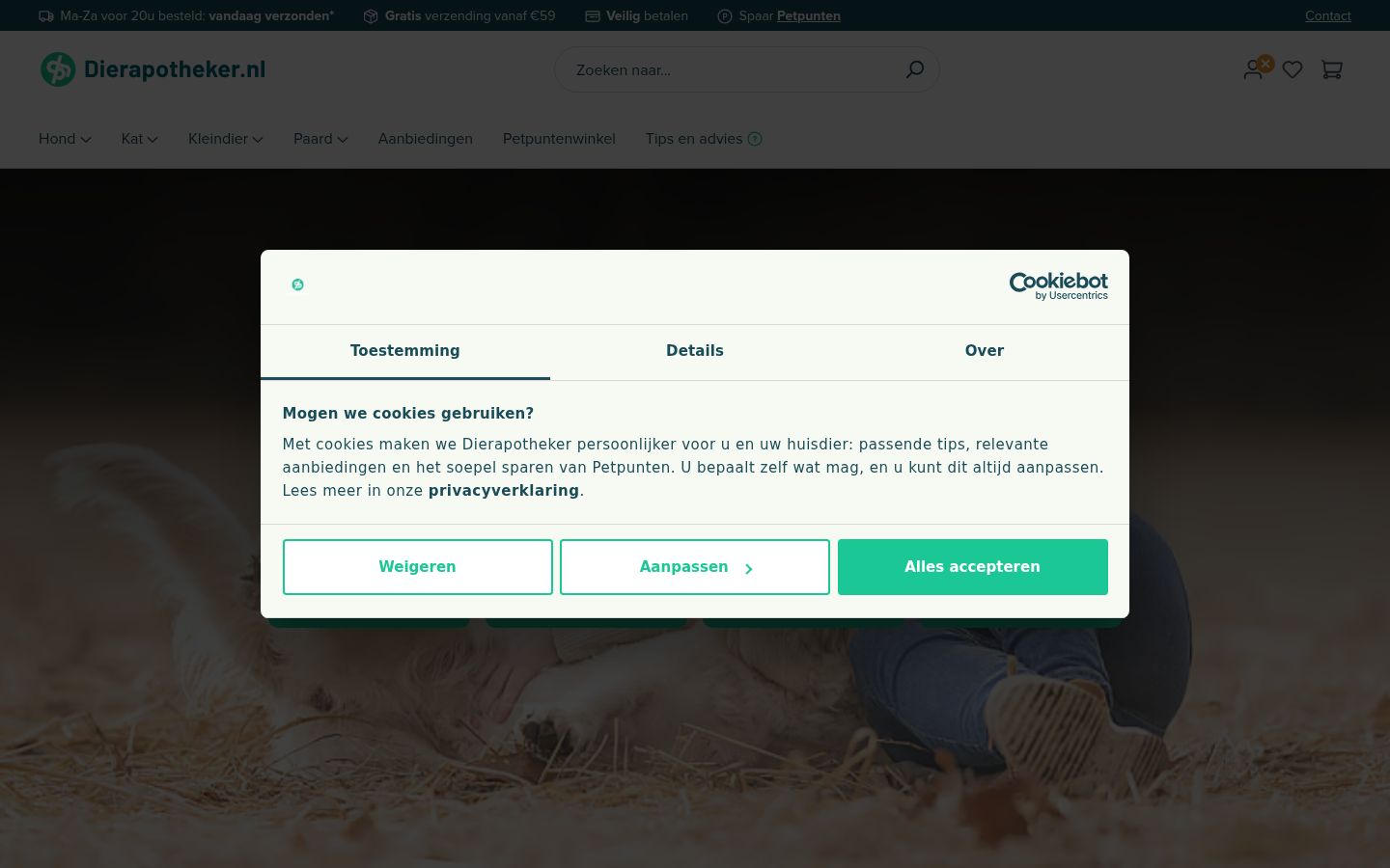 Screenshot of the consent banner shown before any interaction