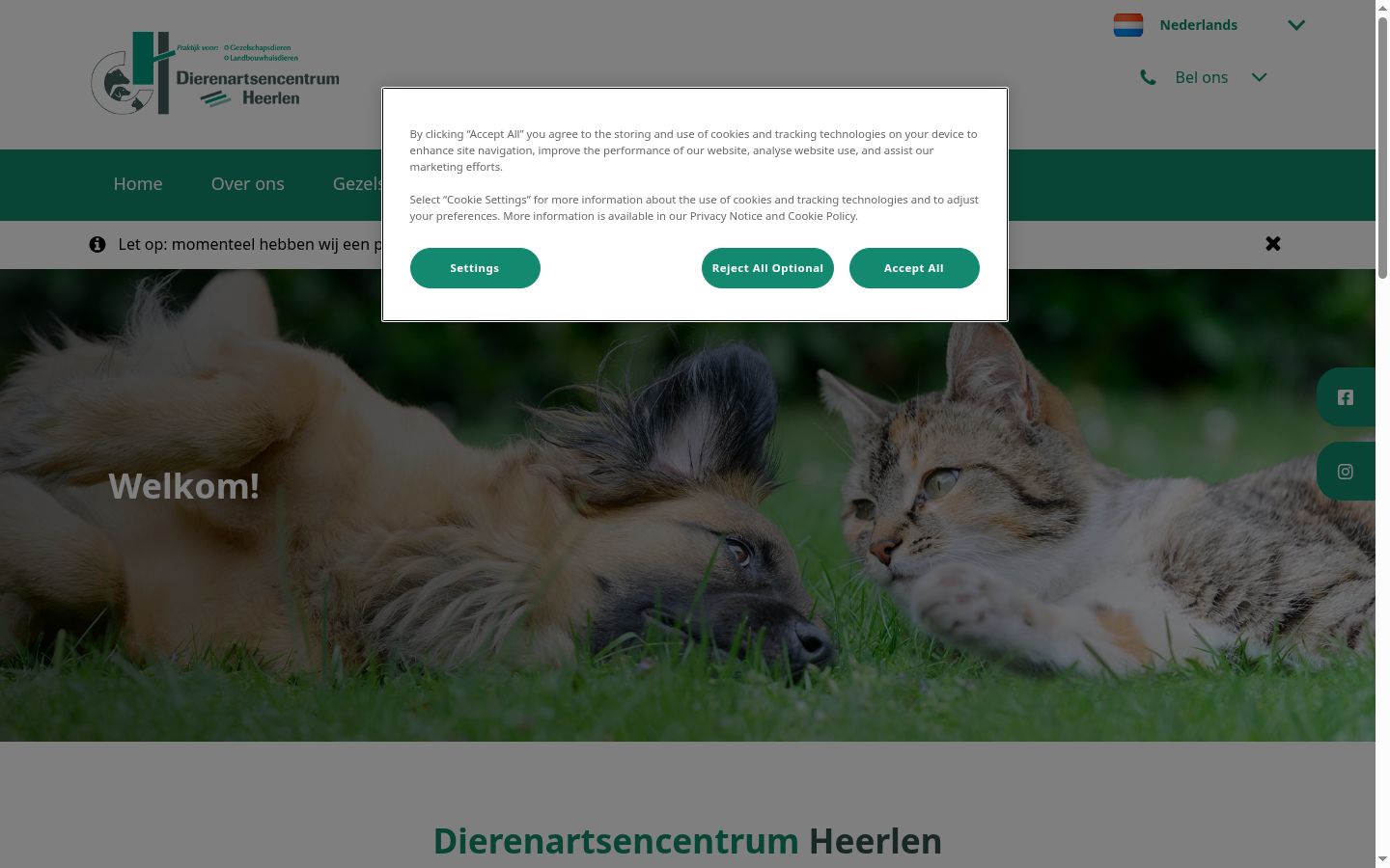 Screenshot of the consent banner shown before any interaction