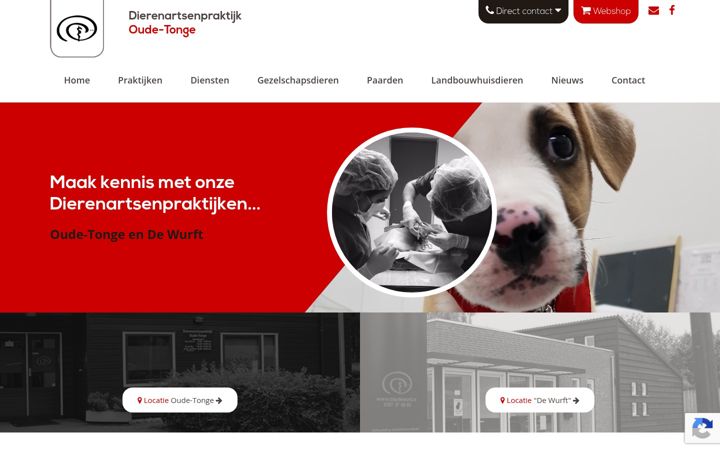 Screenshot of dierenartsenpraktijkoudetonge.nl