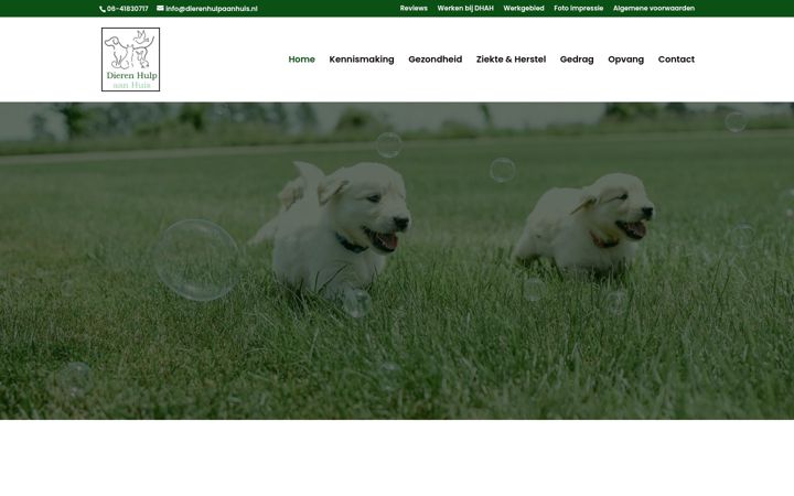 Ekrano kopija dierenhulpaanhuis.nl