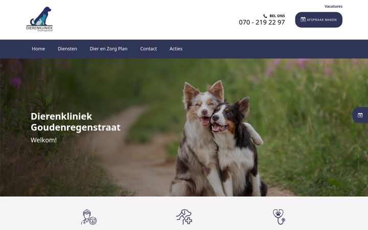Screenshot of dierenkliniekgoudenregenstraat.nl