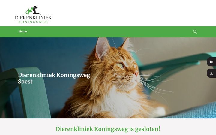 Screenshot ta' dierenkliniekkoningsweg.nl