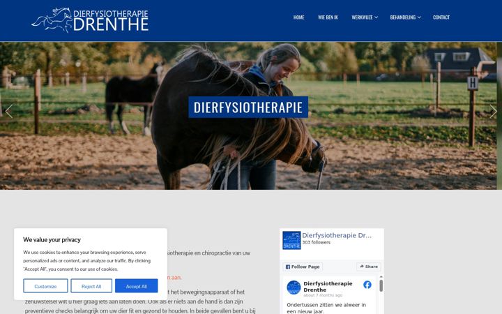 Ekrānuzņēmums no dierfysiotherapiedrenthe.nl