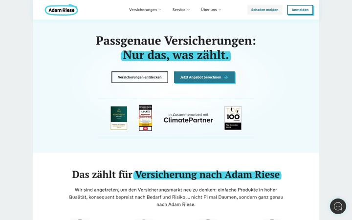 Screenshot of dierieseformel.de