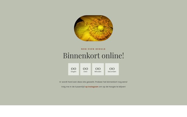 Screenshot του dierkracht.nl