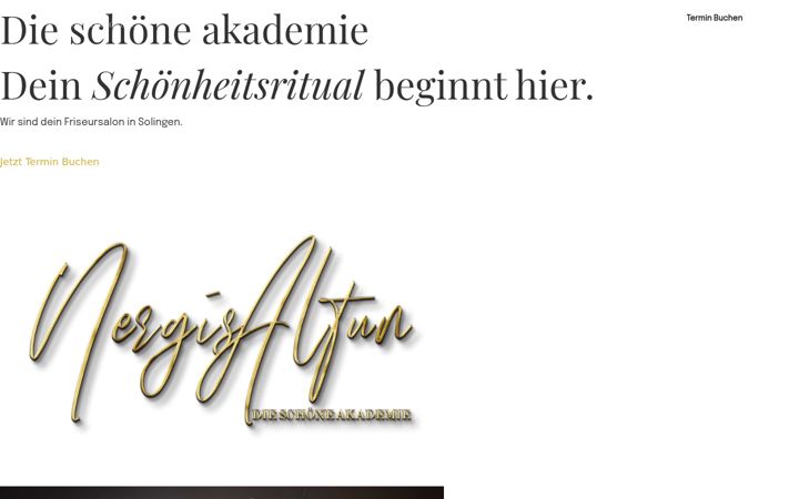Екранна снимка на dieschoeneakademie.de