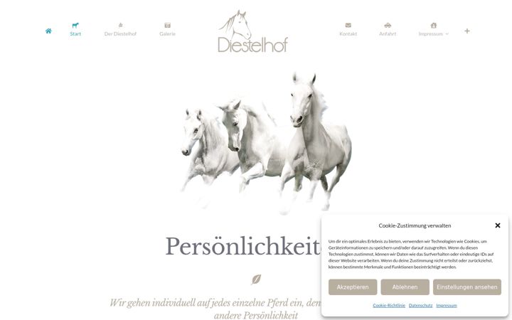 Screenshot of diestelhof.de
