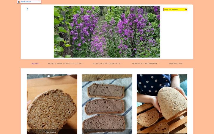 Screenshot of dietaderotatie.ro