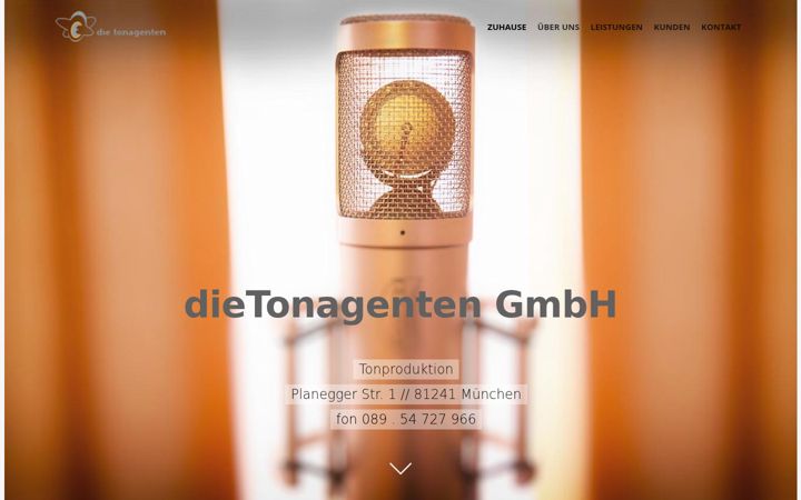 Screenshot ta' dietonagenten.de