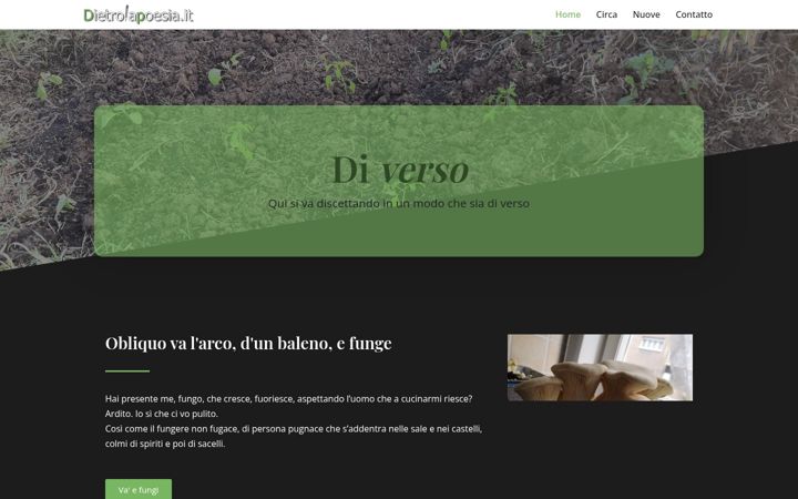 Screenshot of dietrolapoesia.it