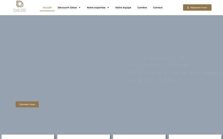 Screenshot of dieze.center
