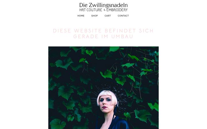 Screenshot of diezwillingsnadeln.de