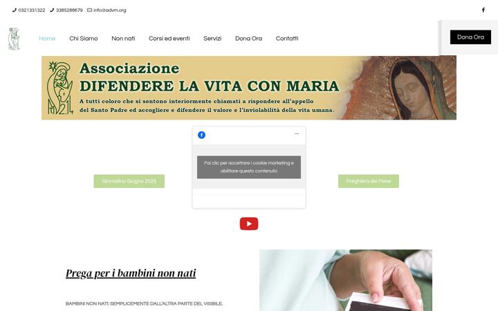Screenshot of difenderelavitaconmaria.it