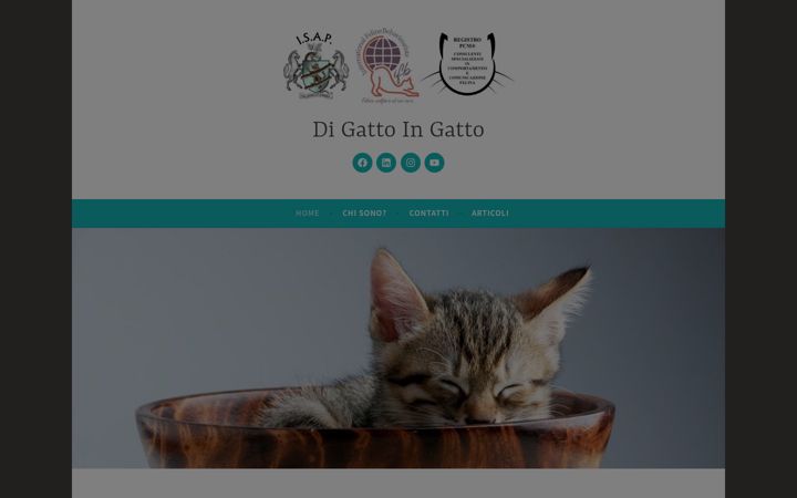Screenshot of digattoingatto.it