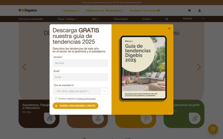 Screenshot of digebis.com