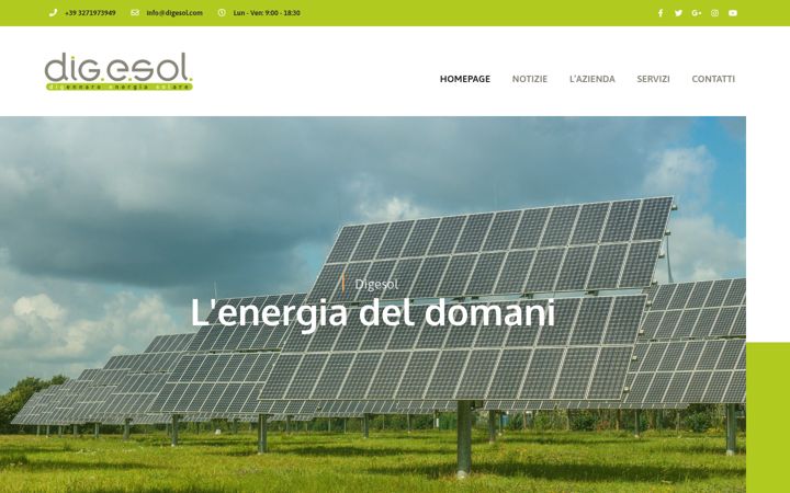 Screenshot of digesol.com