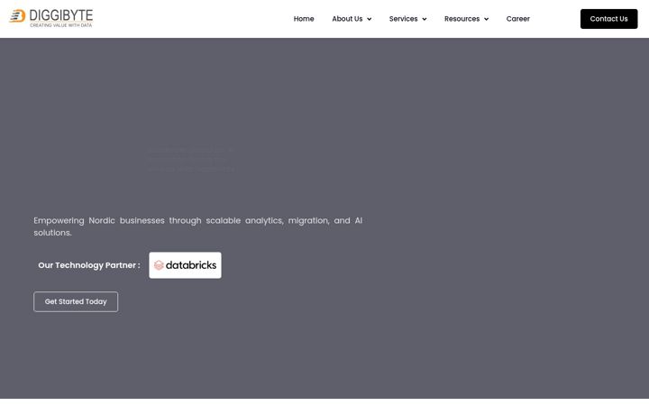 Screenshot of diggibyte.com