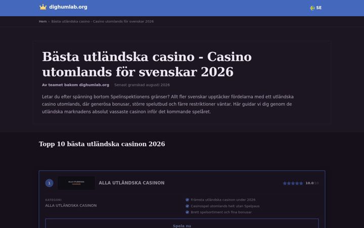 Ekrano kopija dighumlab.org