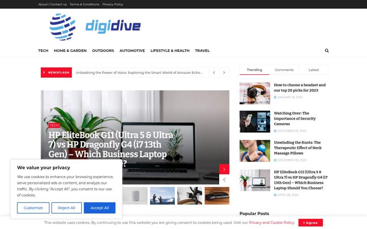 Ekrano kopija digidive.org