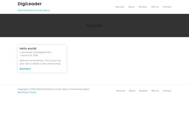 Screenshot of digileaderi.com