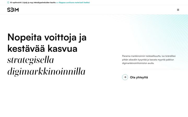Snímek obrazovky digimarkkinointi.fi