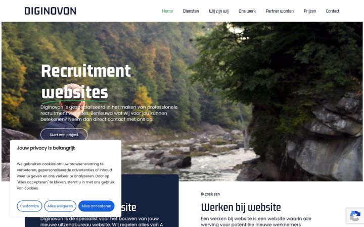 Screenshot of diginovon.com
