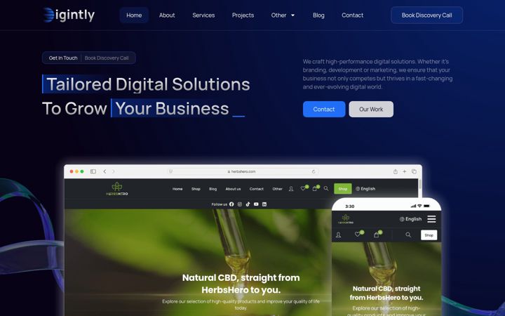 Screenshot of digintly.com