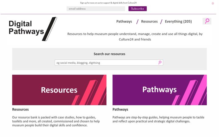 Screenshot stránky digipathways.co.uk