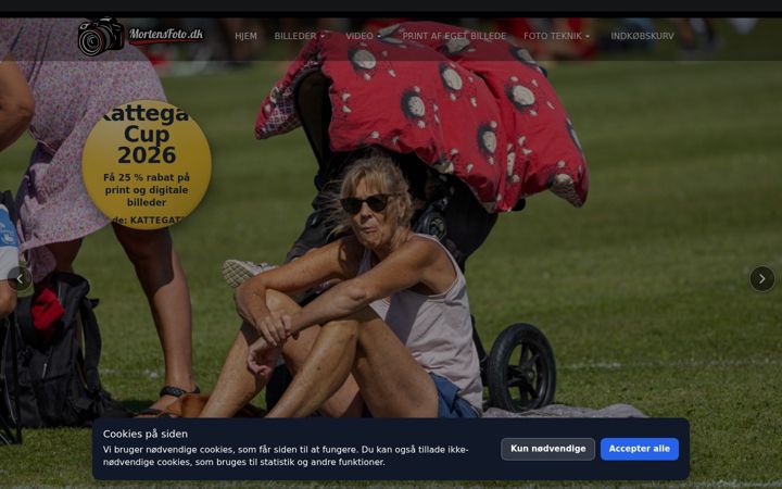Screenshot of digipix.dk