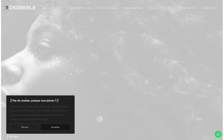 Screenshot of digismileagency.com